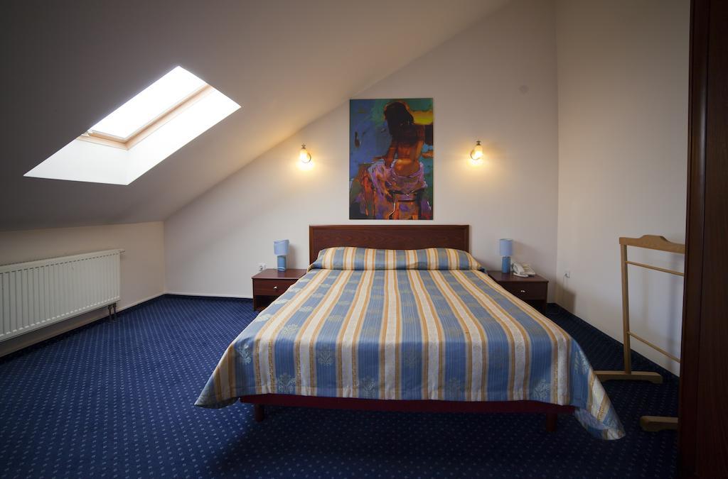 Hotel Sani Truskavec Pokoj fotografie